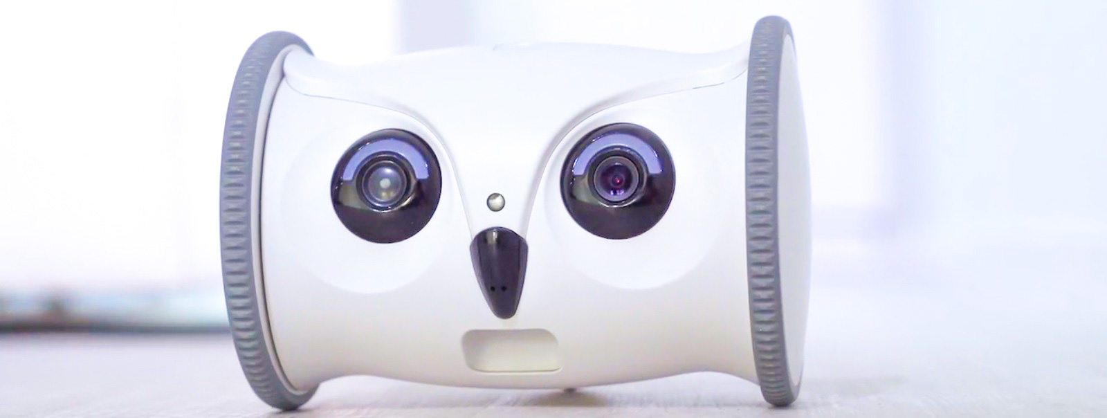 Owl robot - нова інтерактивна іграшка для домашніх тварин